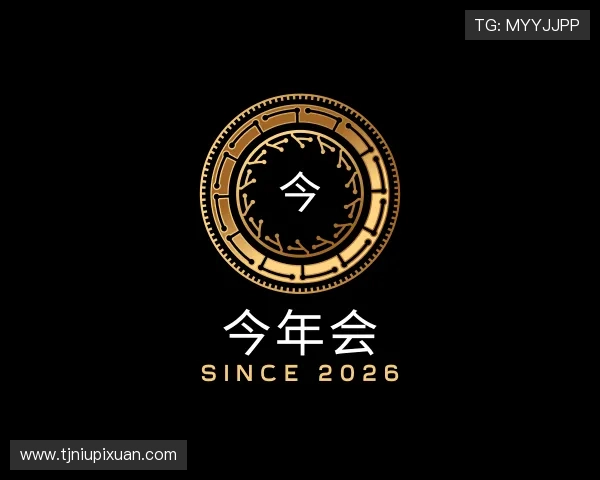 发现今年会